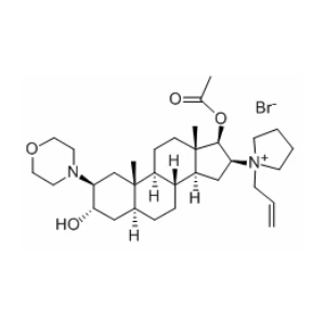 Rocuronium Bromide Skeletal Muscle Relaxant
